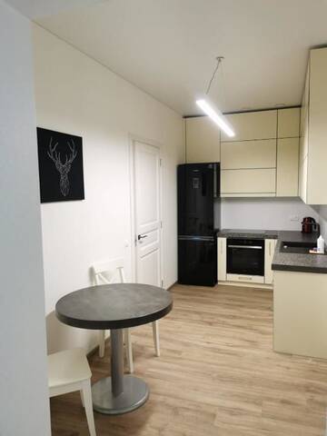 Фото номера Апартаменты - 1-й этаж Апартаменты Laurentroom Central Park г. Укмерге 33